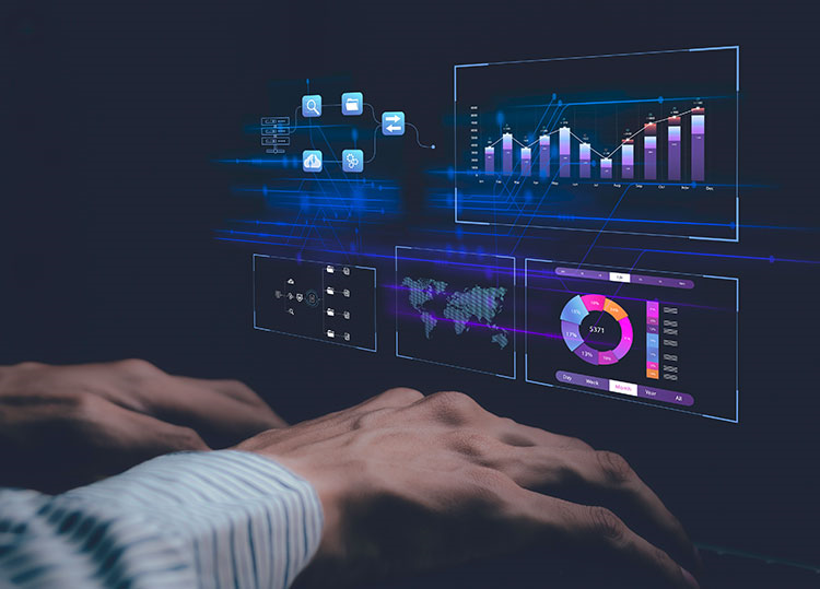 Data Provisioning and Management